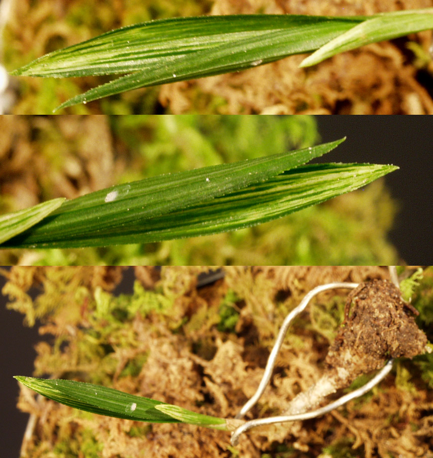 ������ ū������ �� �� �ֽ��ϴ�.