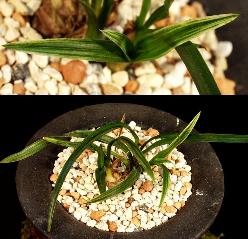 ������ ū������ �� �� �ֽ��ϴ�.