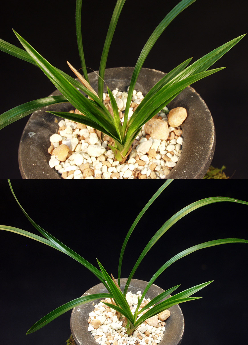 ������ ū������ �� �� �ֽ��ϴ�.