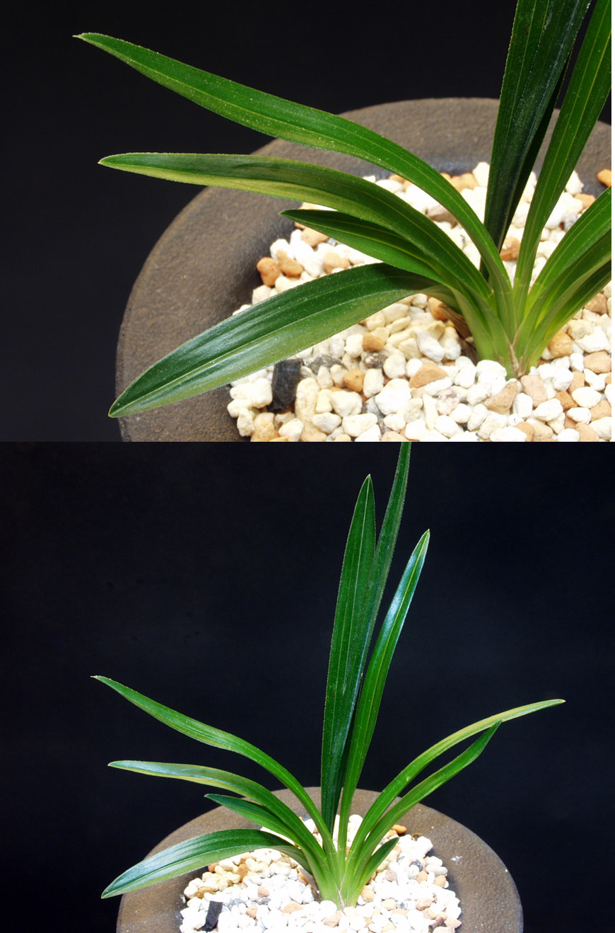 ������ ū������ �� �� �ֽ��ϴ�.