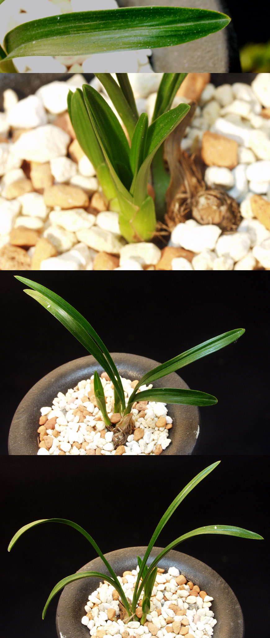 ������ ū������ �� �� �ֽ��ϴ�.