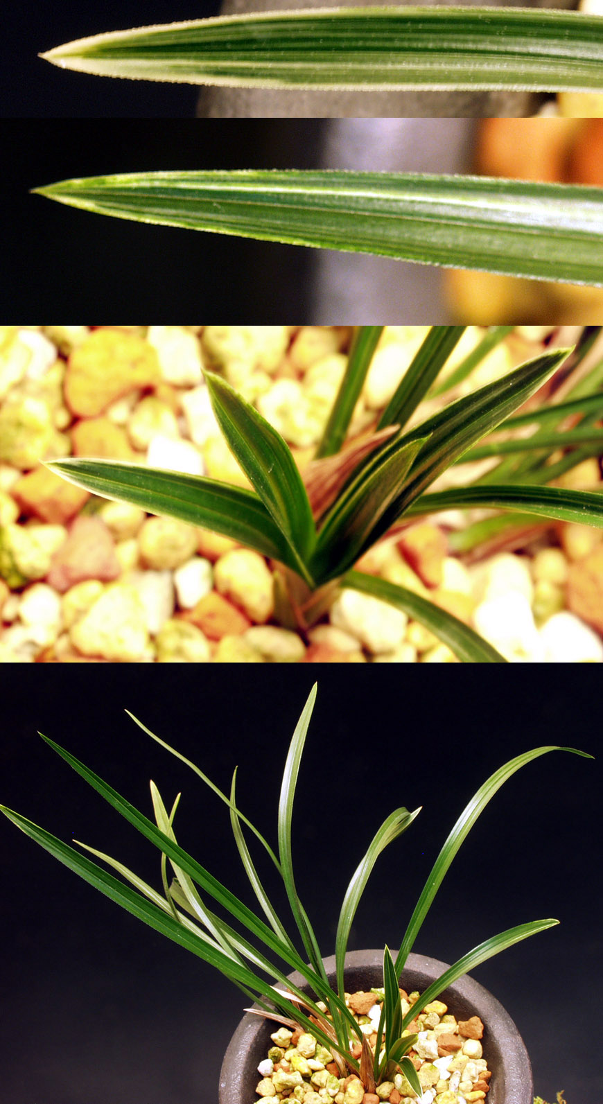 ������ ū������ �� �� �ֽ��ϴ�.