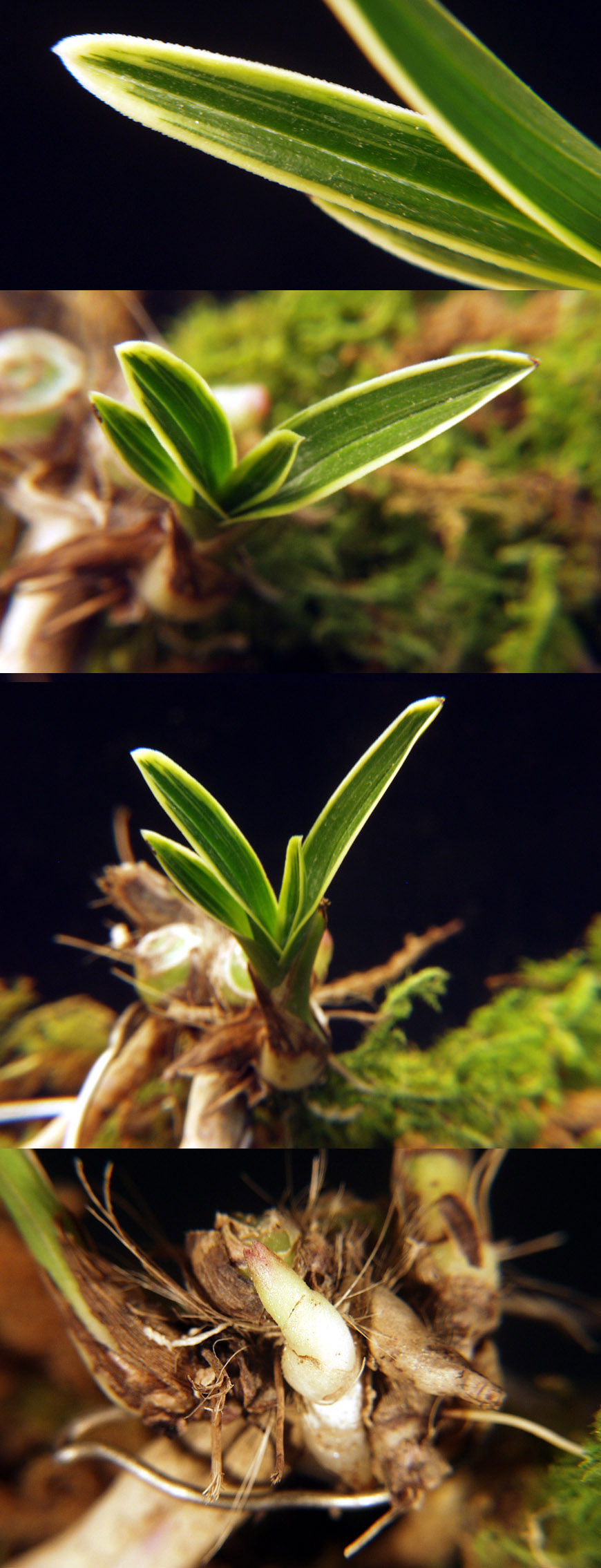 ������ ū������ �� �� �ֽ��ϴ�.