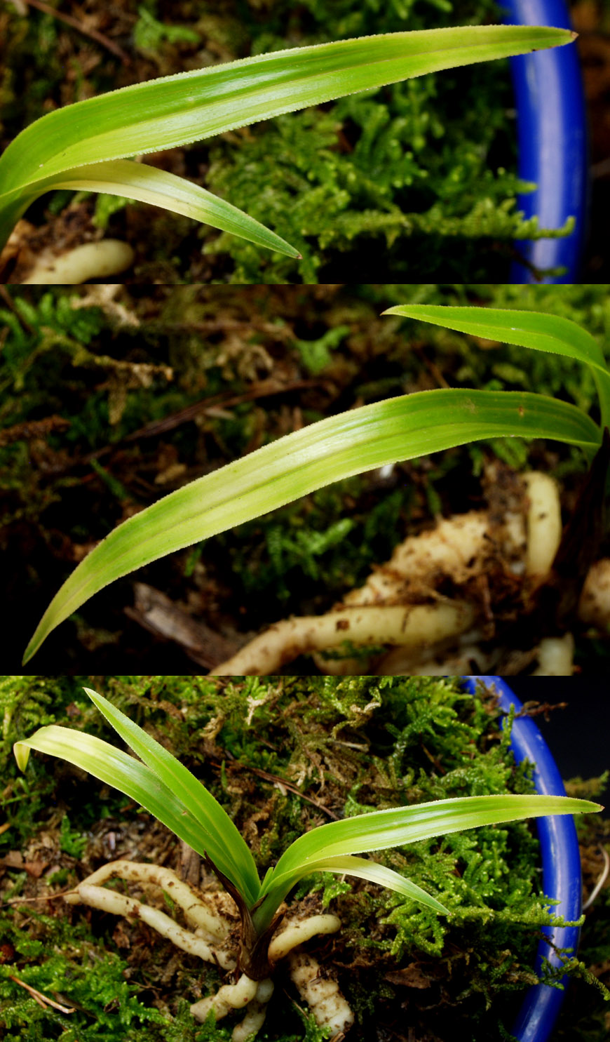 ������ ū������ �� �� �ֽ��ϴ�.