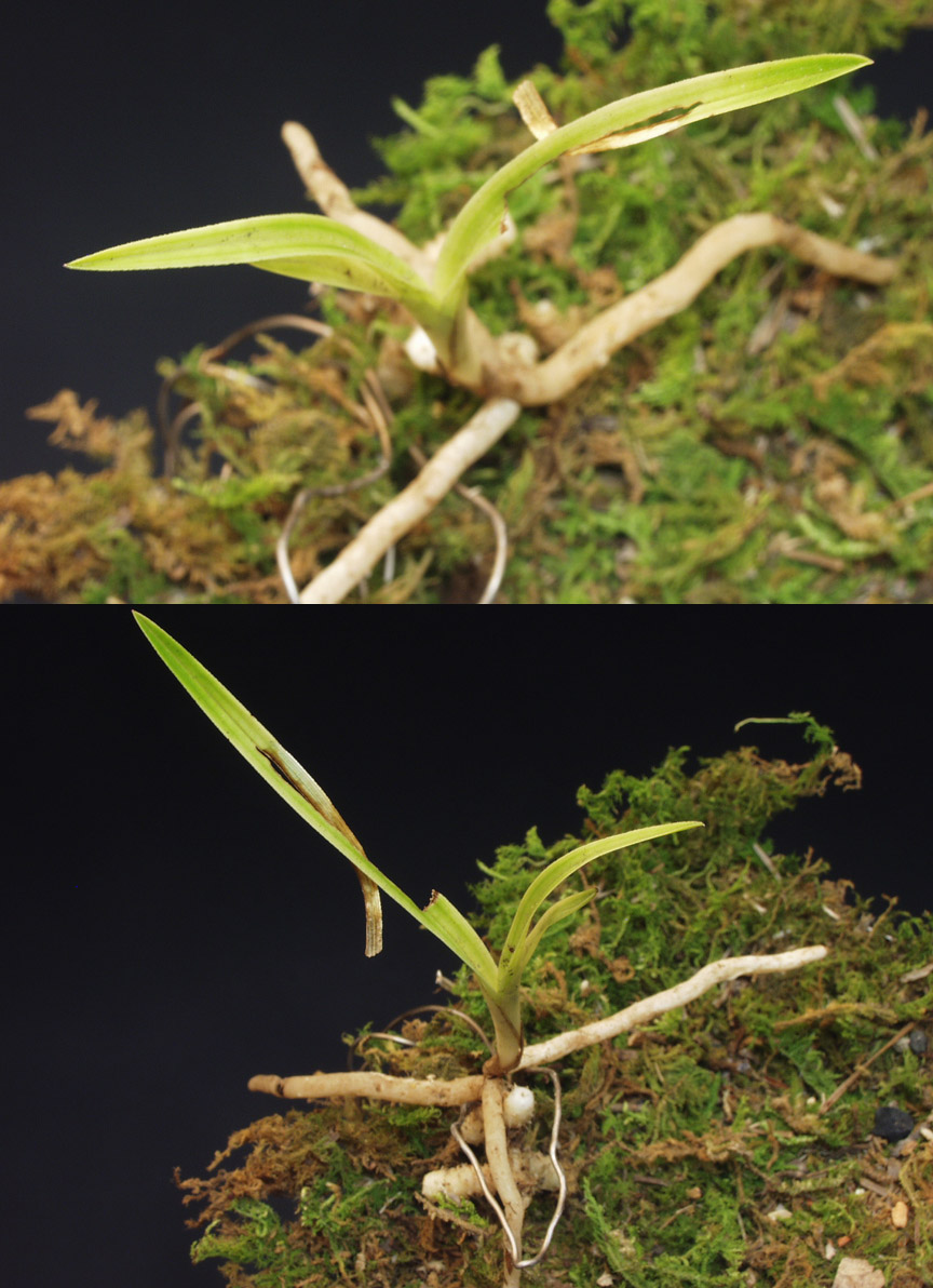 ������ ū������ �� �� �ֽ��ϴ�.