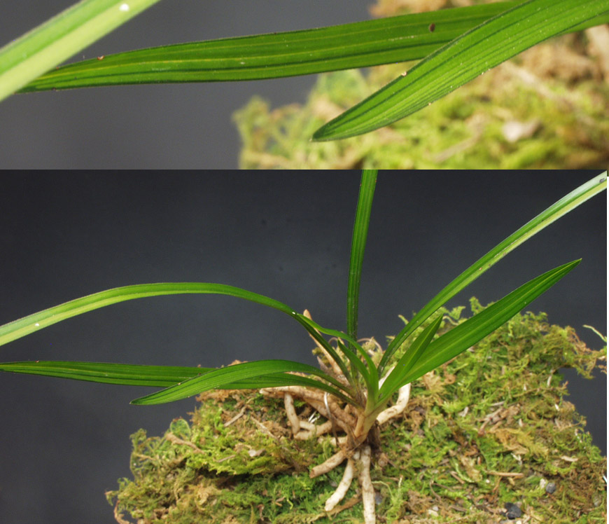 ������ ū������ �� �� �ֽ��ϴ�.