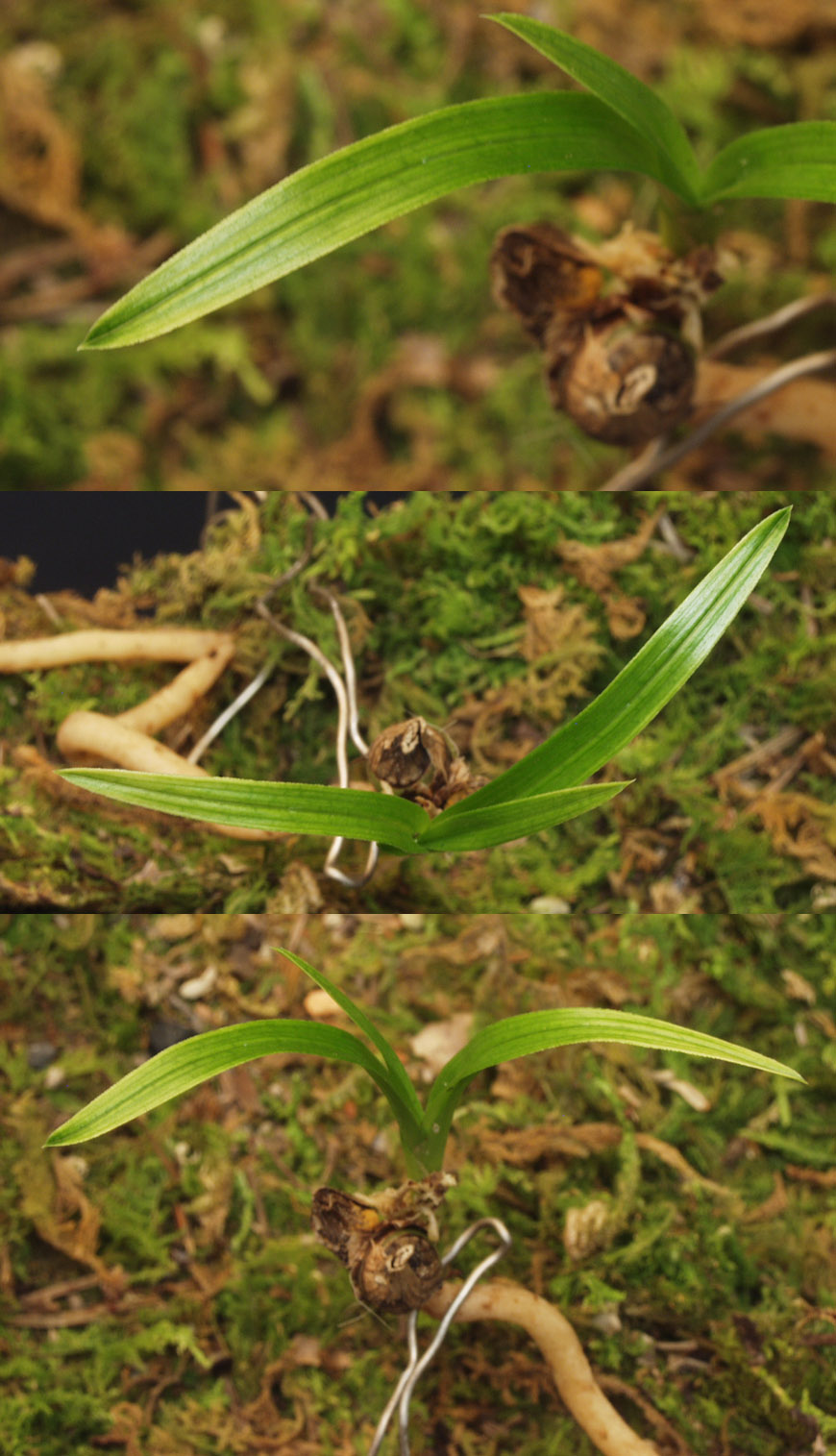 ������ ū������ �� �� �ֽ��ϴ�.