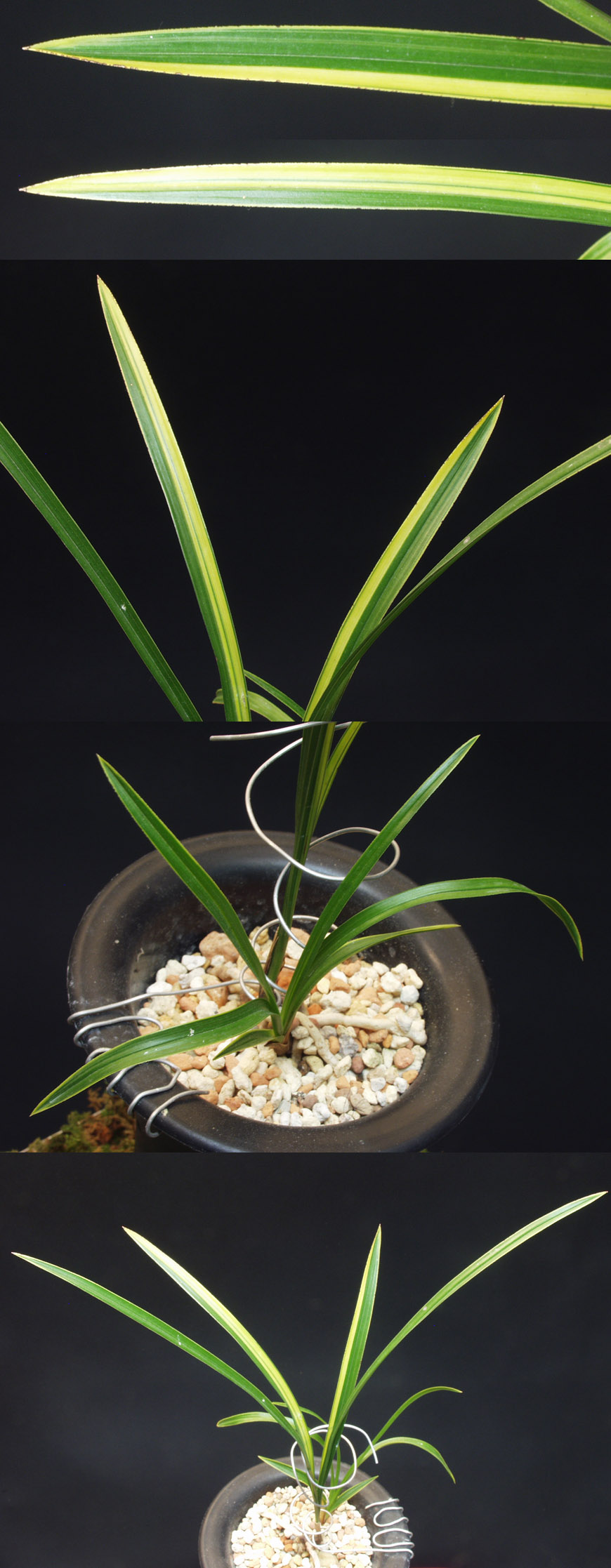 ������ ū������ �� �� �ֽ��ϴ�.