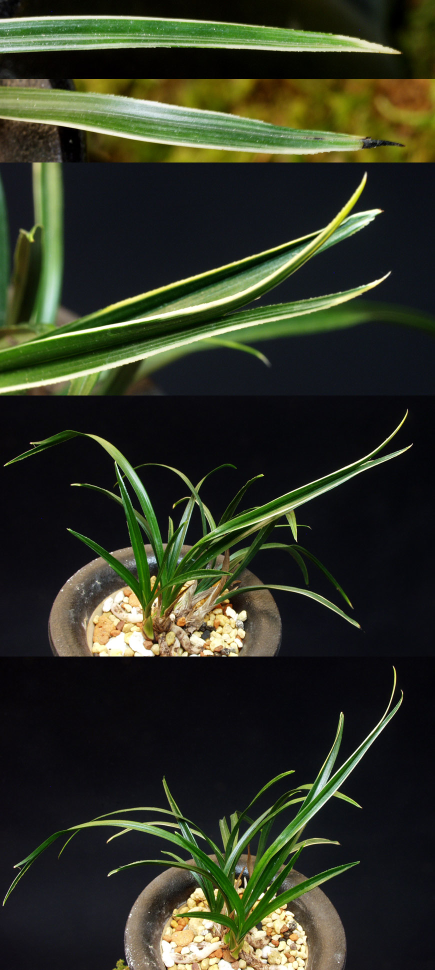 ������ ū������ �� �� �ֽ��ϴ�.