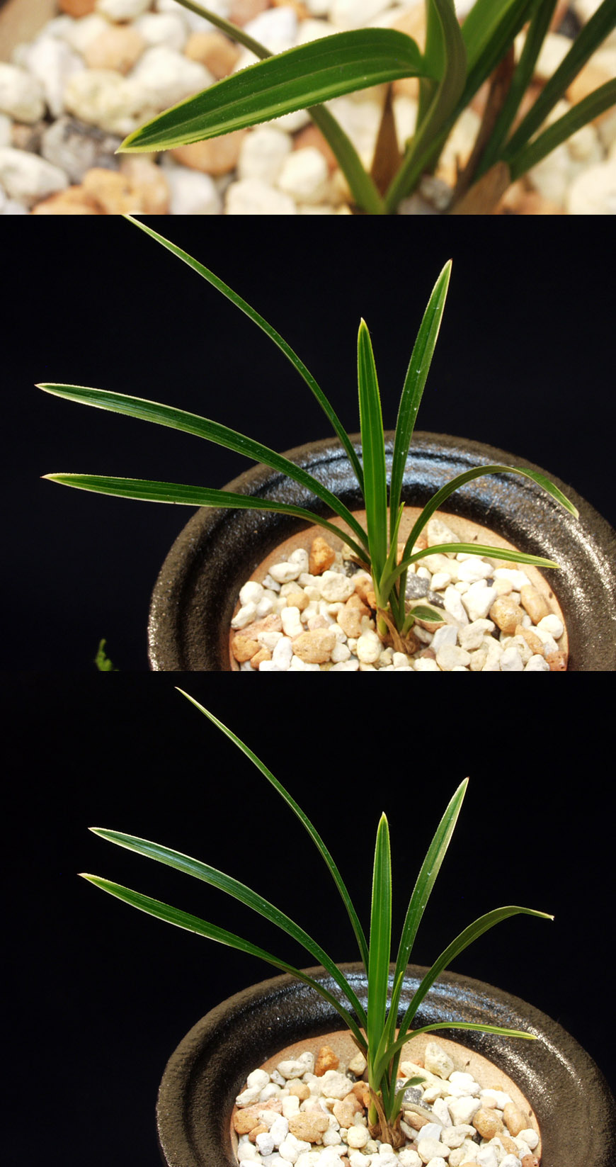 ������ ū������ �� �� �ֽ��ϴ�.