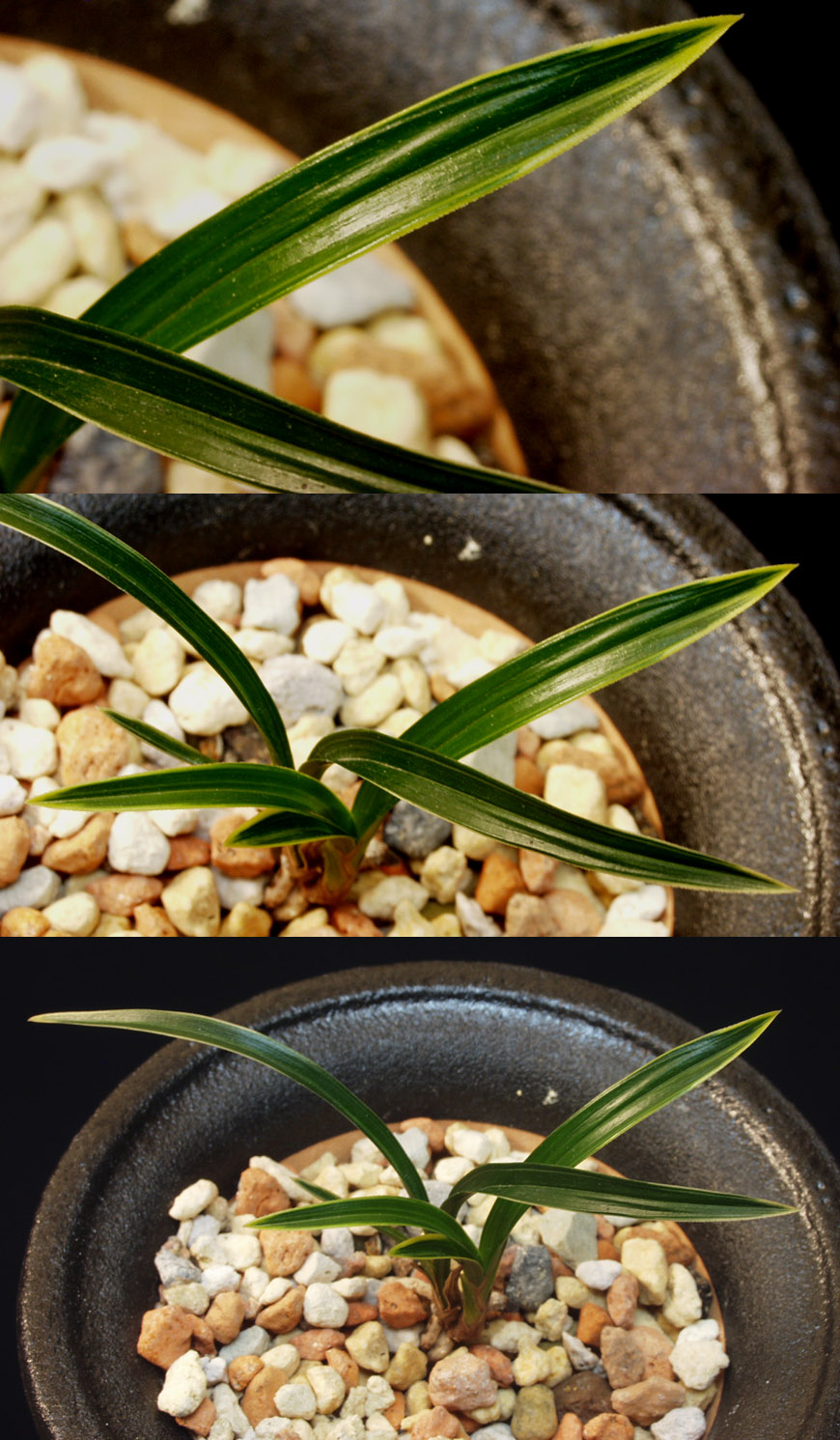 ������ ū������ �� �� �ֽ��ϴ�.