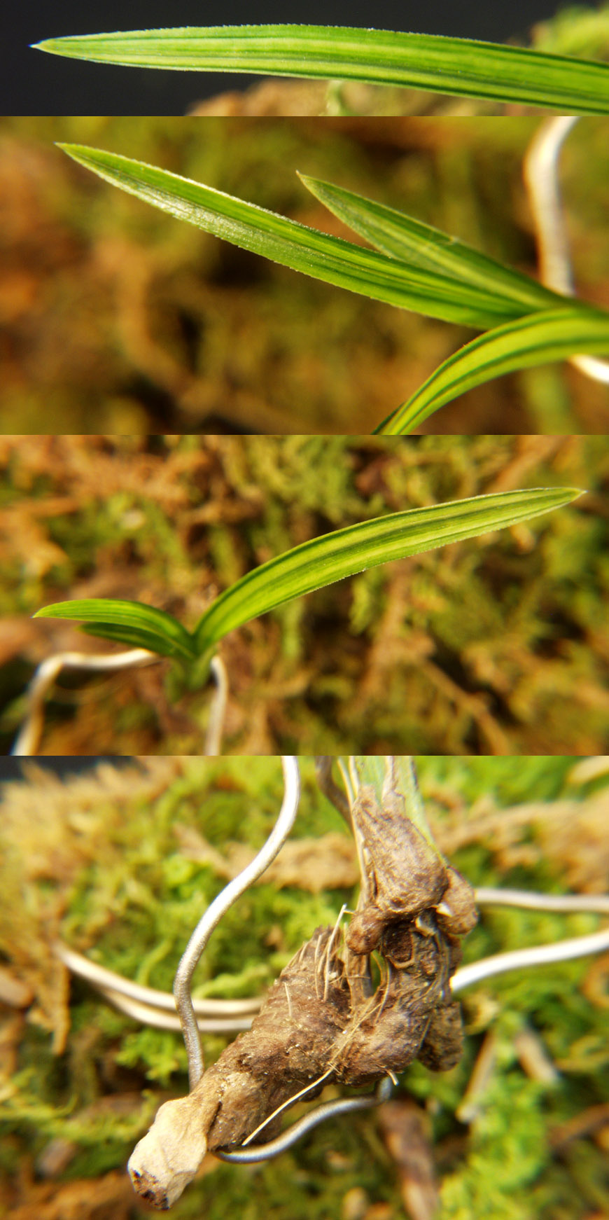 ������ ū������ �� �� �ֽ��ϴ�.