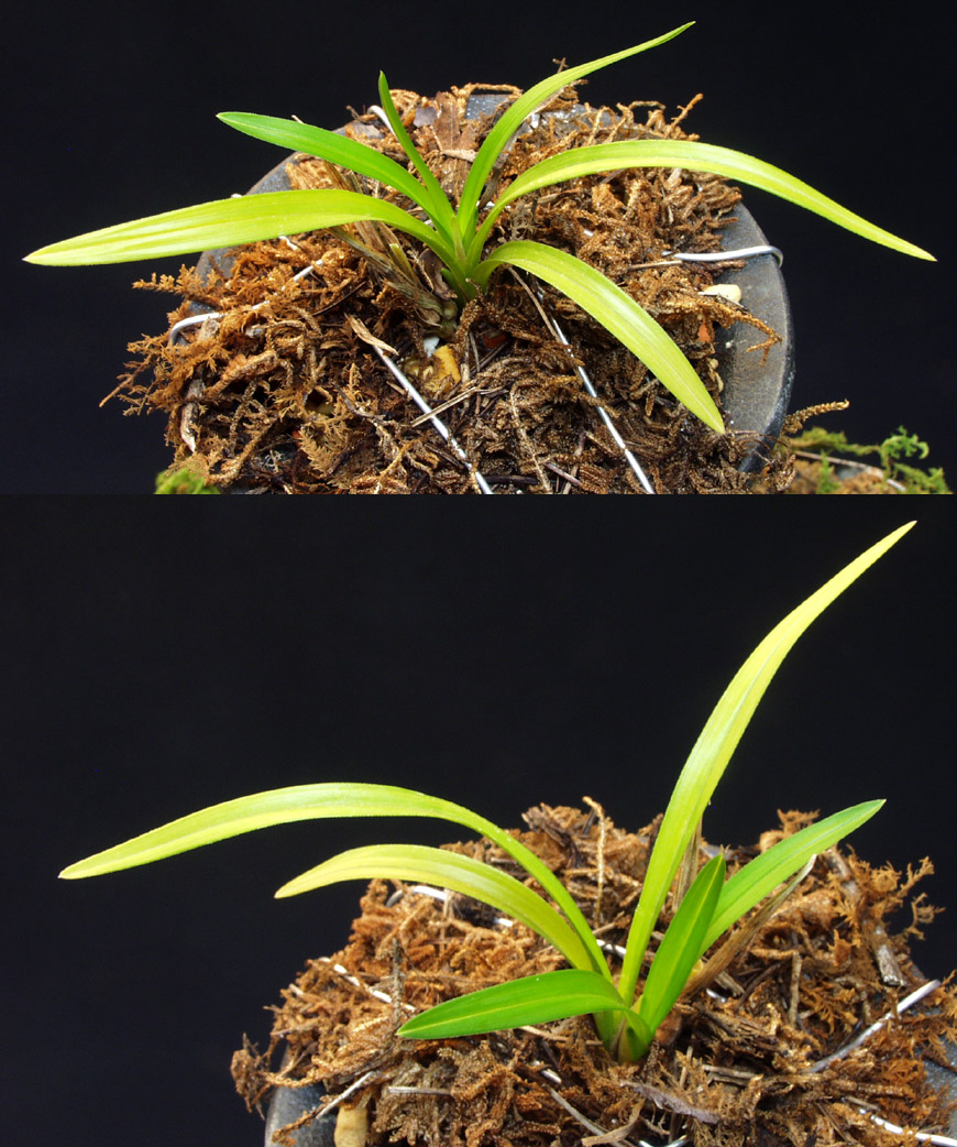 ������ ū������ �� �� �ֽ��ϴ�.