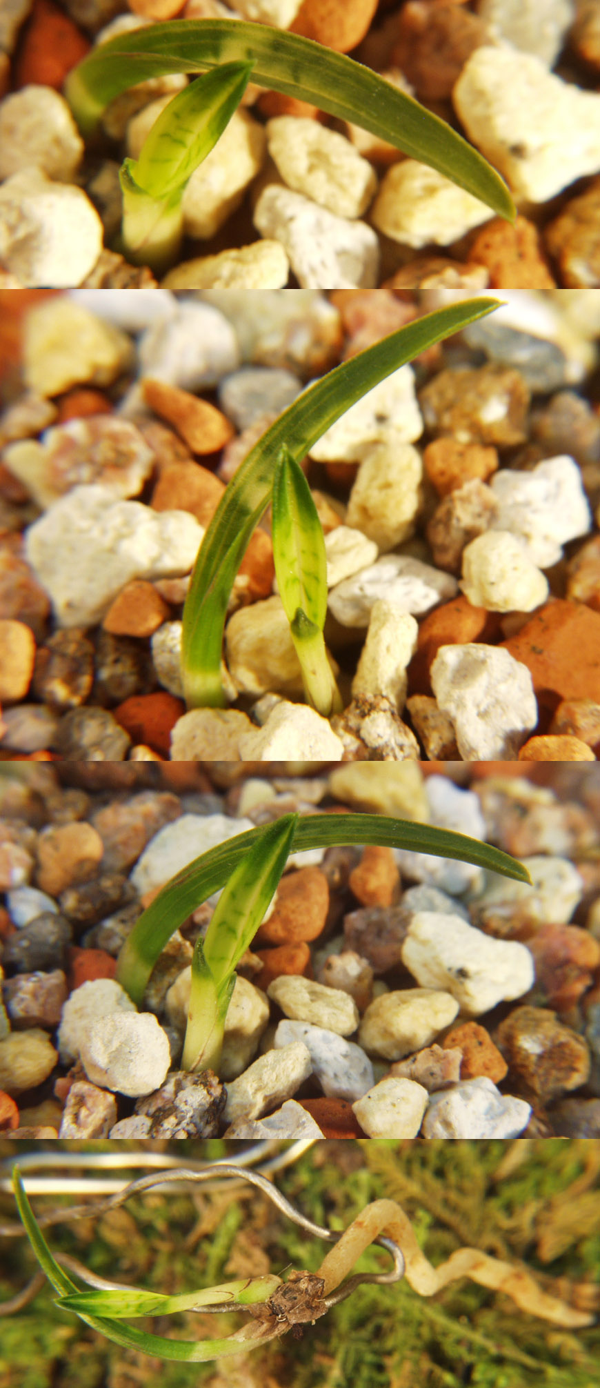 ������ ū������ �� �� �ֽ��ϴ�.