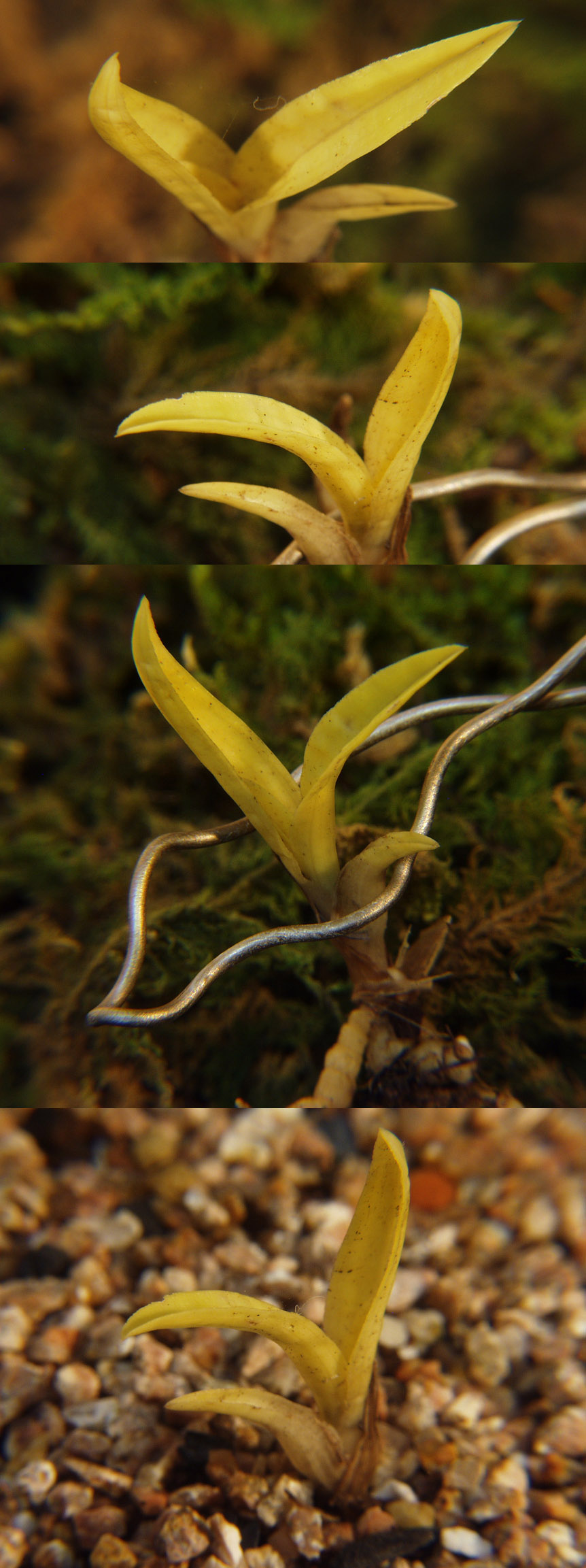 ������ ū������ �� �� �ֽ��ϴ�.