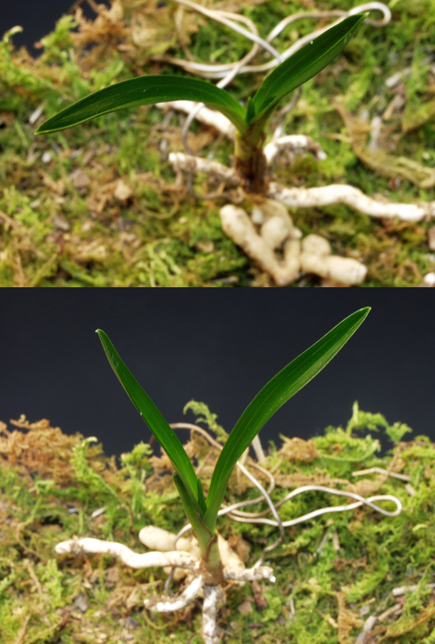 ������ ū������ �� �� �ֽ��ϴ�.