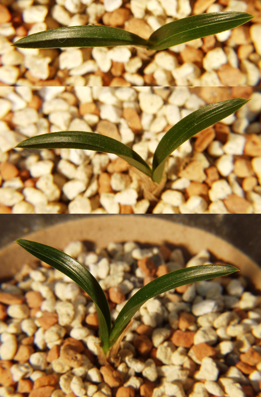 ������ ū������ �� �� �ֽ��ϴ�.