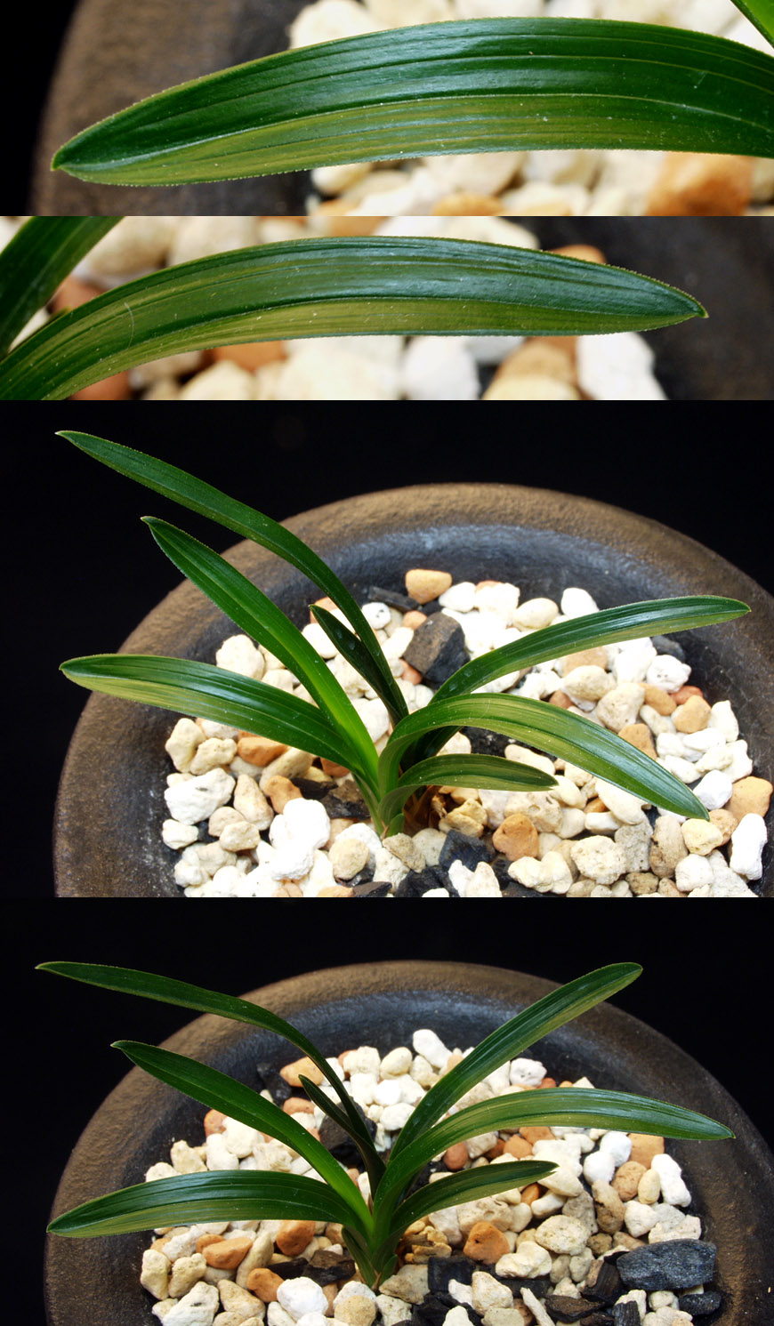 ������ ū������ �� �� �ֽ��ϴ�.