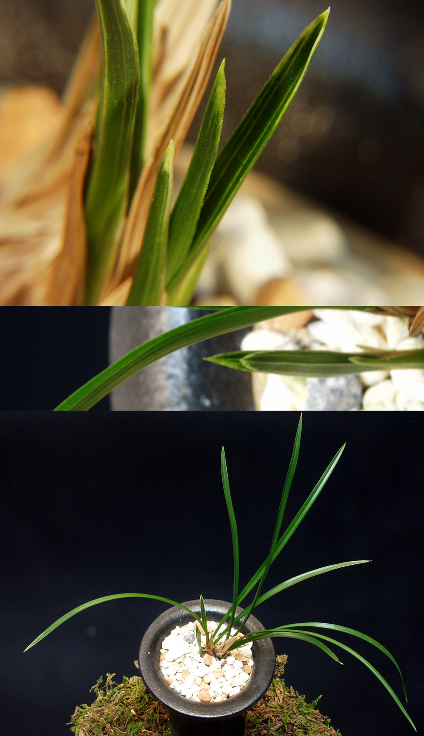 ������ ū������ �� �� �ֽ��ϴ�.