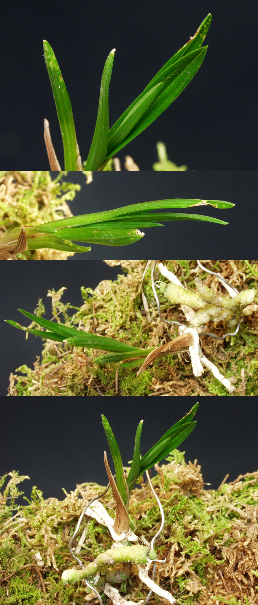 ������ ū������ �� �� �ֽ��ϴ�.