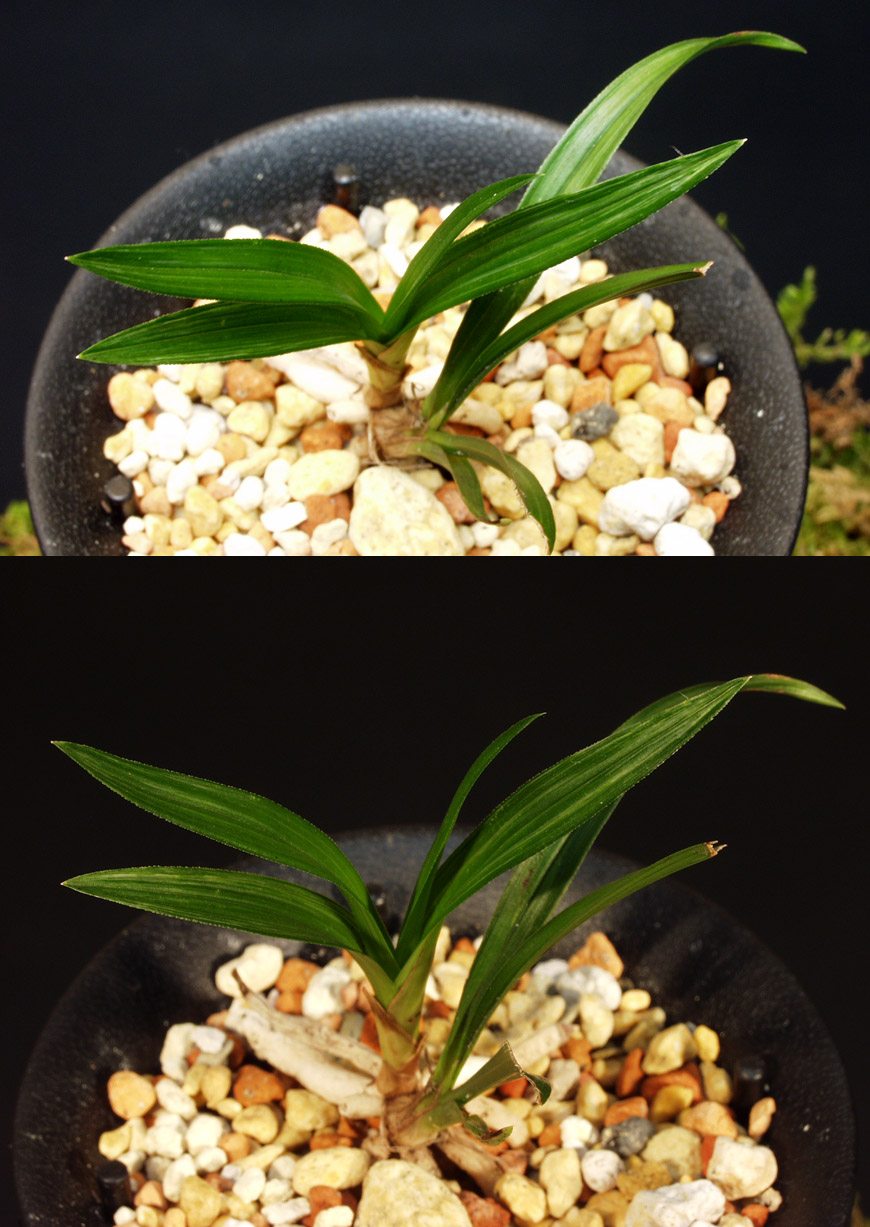 ������ ū������ �� �� �ֽ��ϴ�.