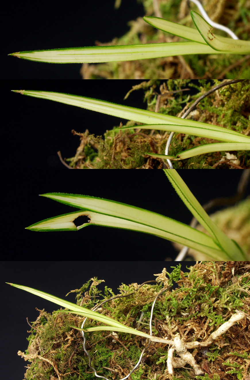 ������ ū������ �� �� �ֽ��ϴ�.