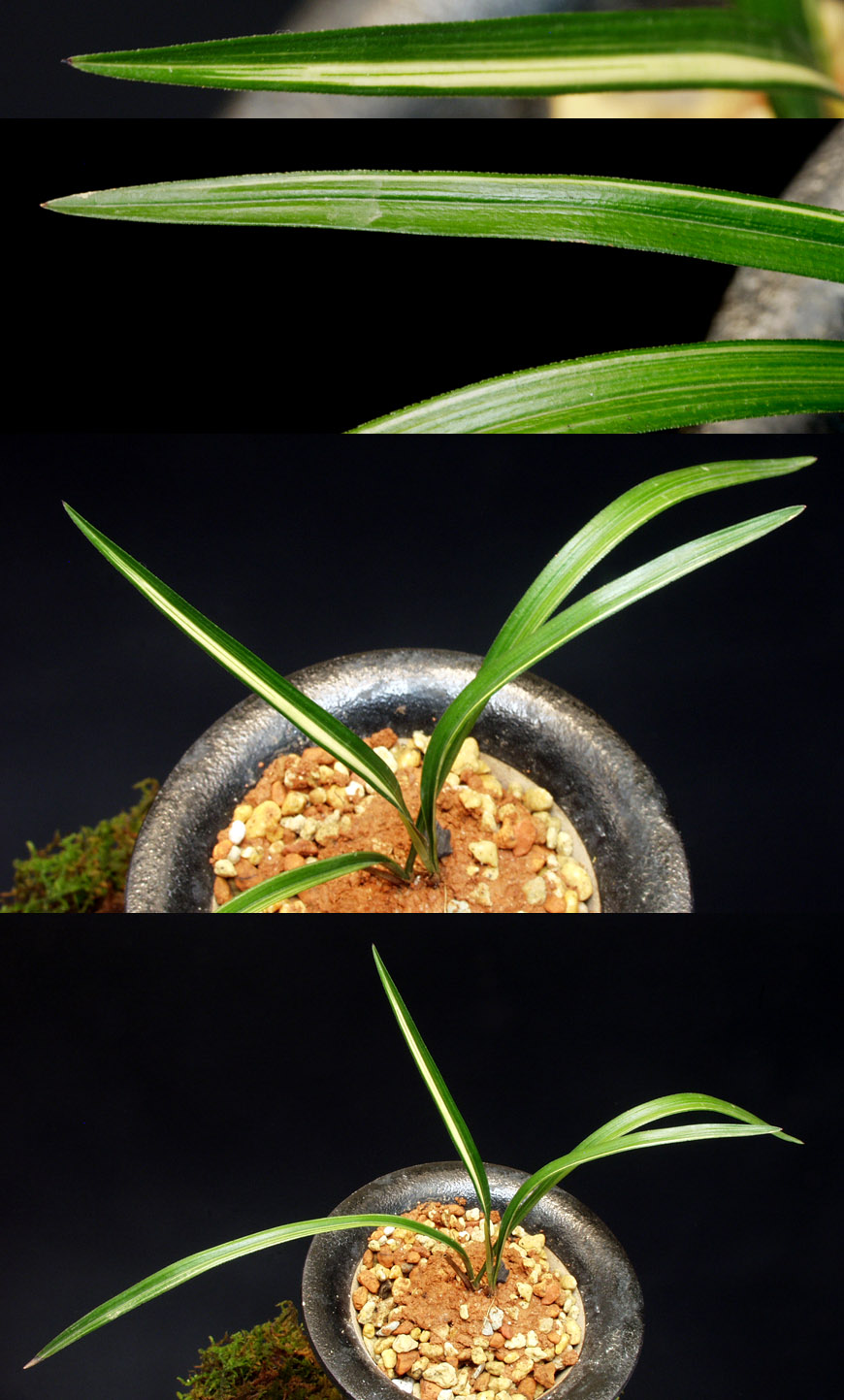 ������ ū������ �� �� �ֽ��ϴ�.