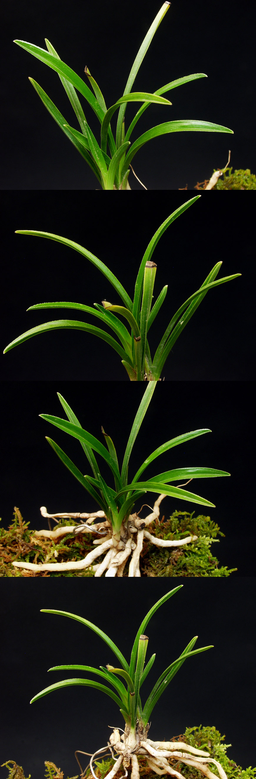 ������ ū������ �� �� �ֽ��ϴ�.