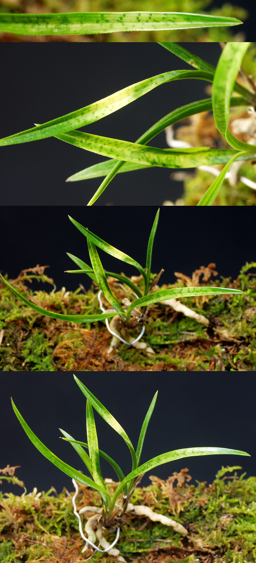 ������ ū������ �� �� �ֽ��ϴ�.