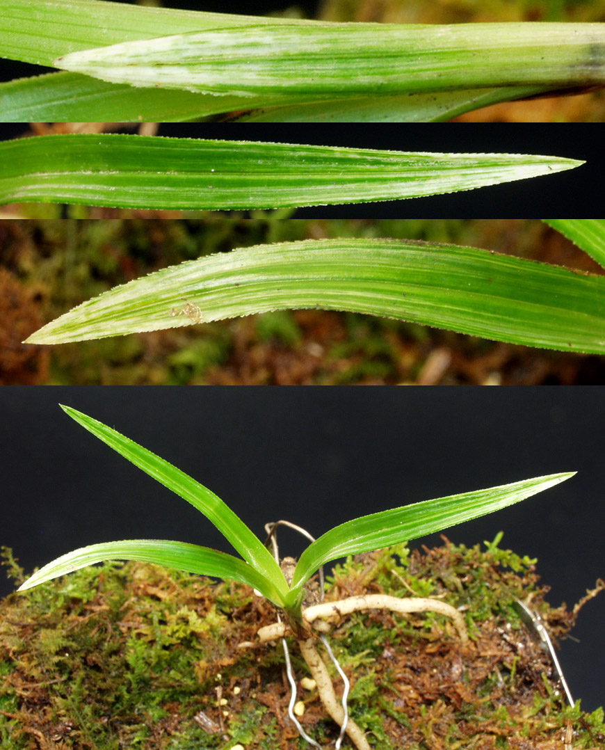 ������ ū������ �� �� �ֽ��ϴ�.