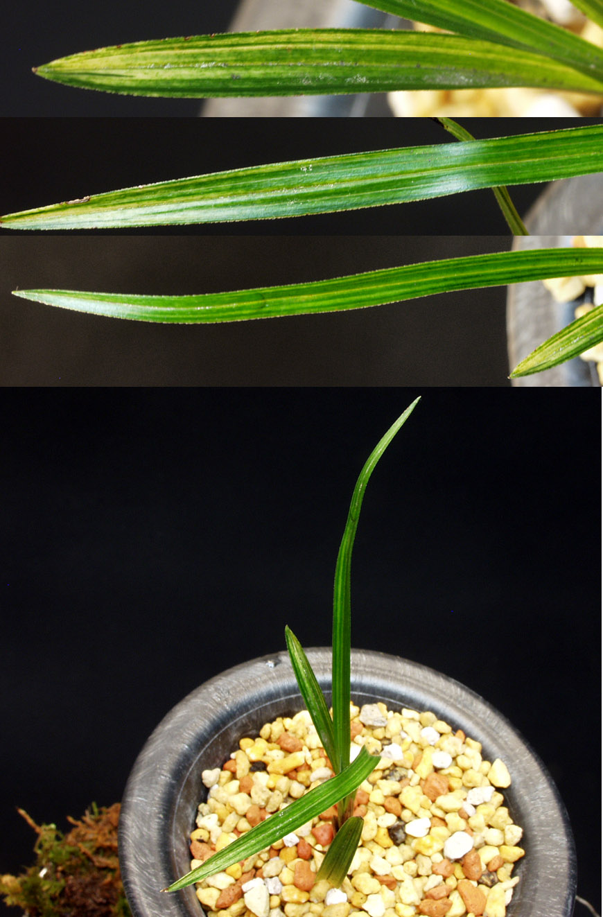 ������ ū������ �� �� �ֽ��ϴ�.