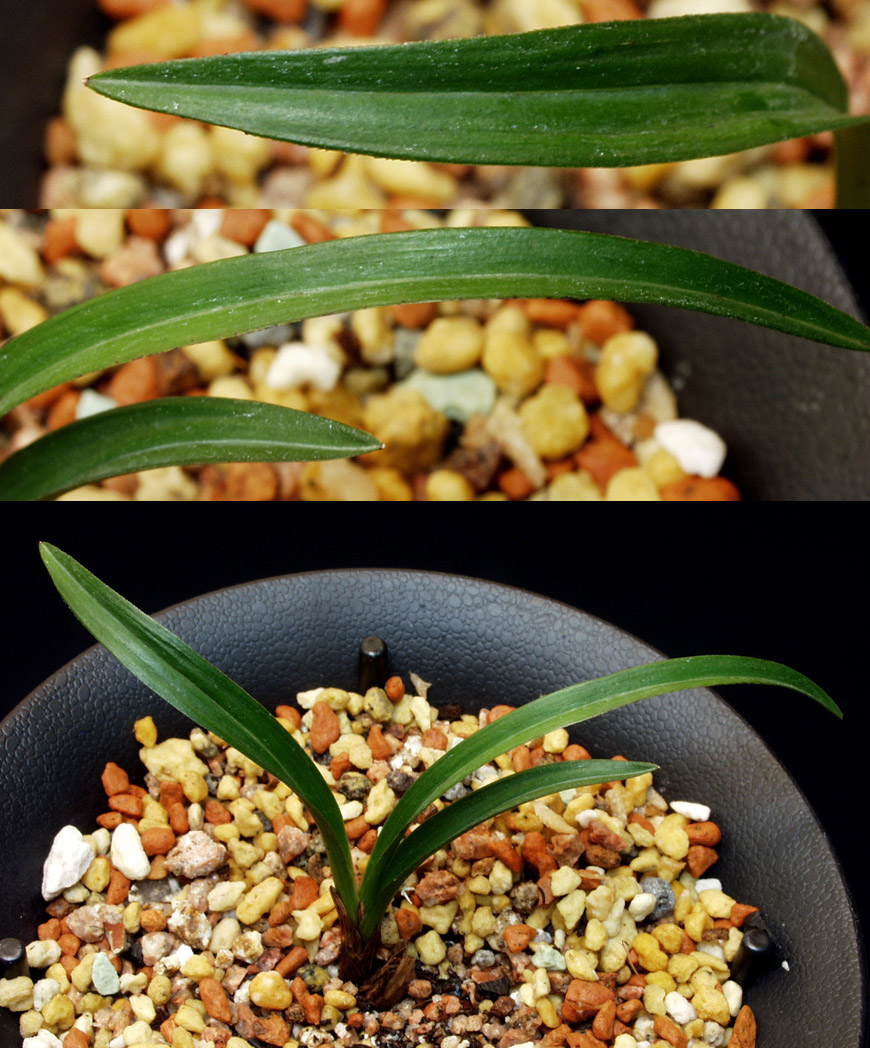 ������ ū������ �� �� �ֽ��ϴ�.