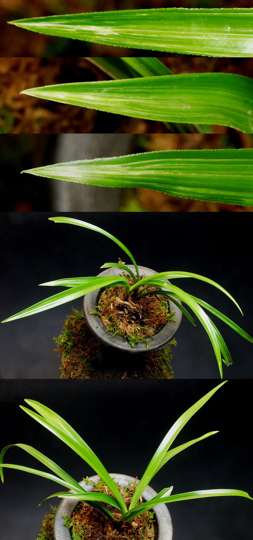 ������ ū������ �� �� �ֽ��ϴ�.