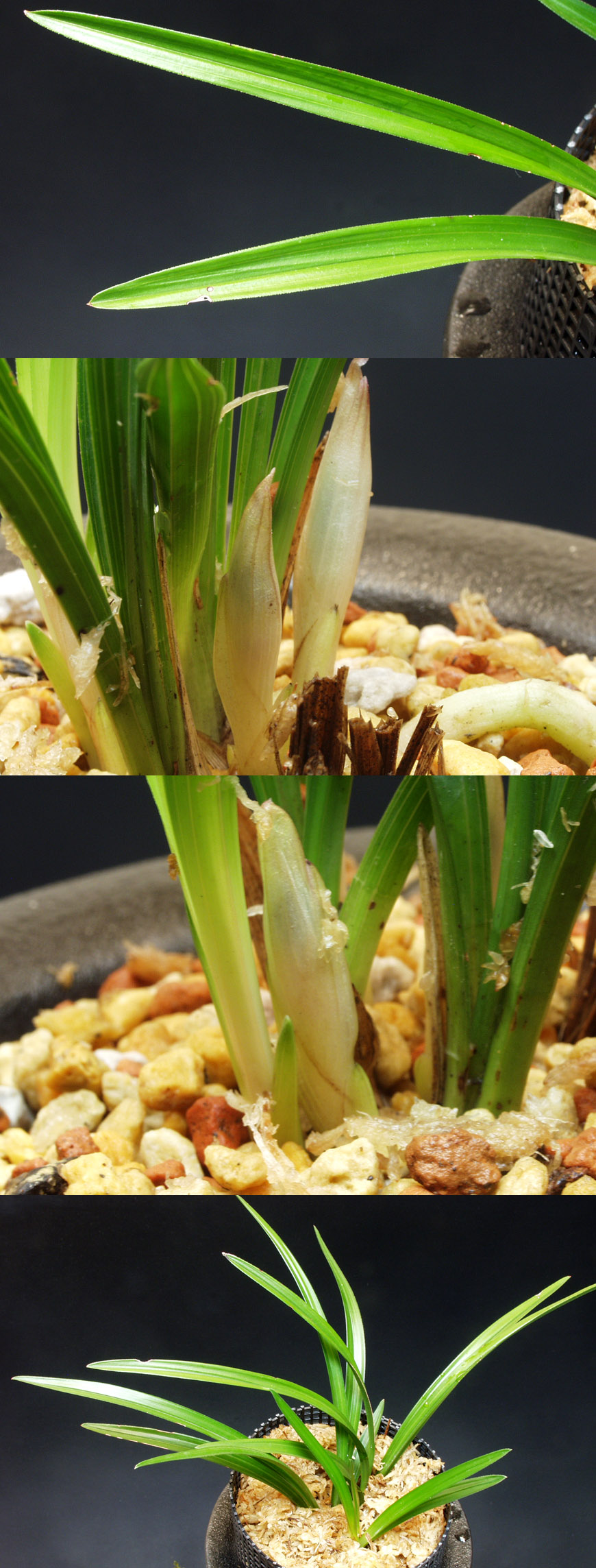 ������ ū������ �� �� �ֽ��ϴ�.