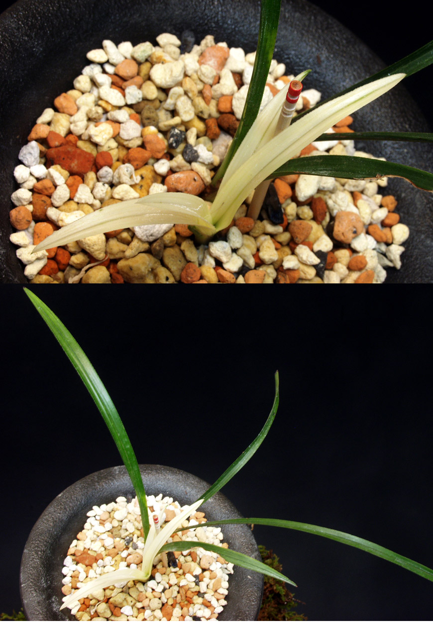 ������ ū������ �� �� �ֽ��ϴ�.