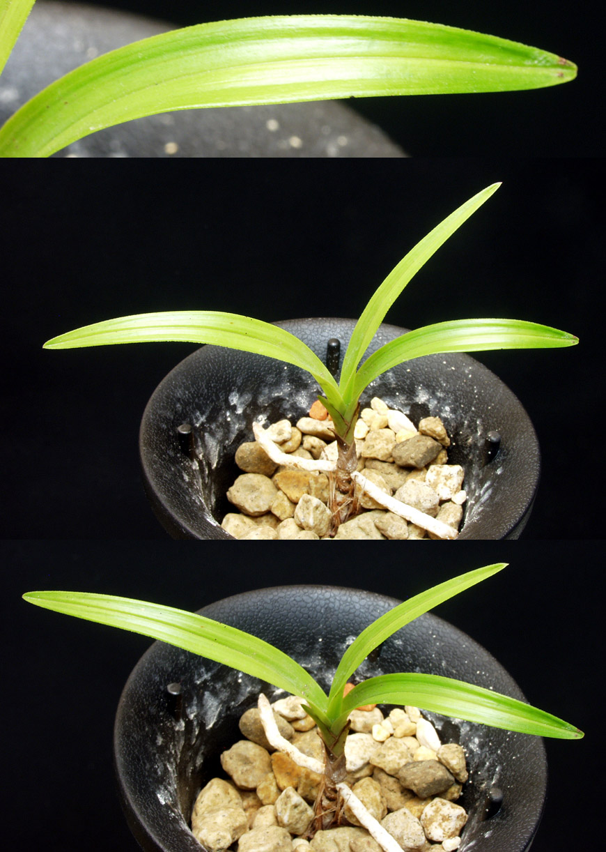 ������ ū������ �� �� �ֽ��ϴ�.