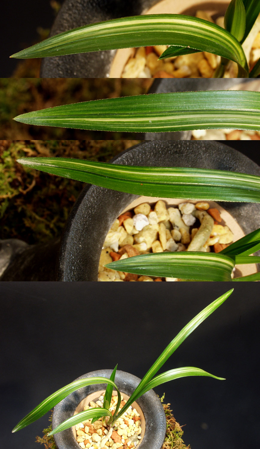 ������ ū������ �� �� �ֽ��ϴ�.