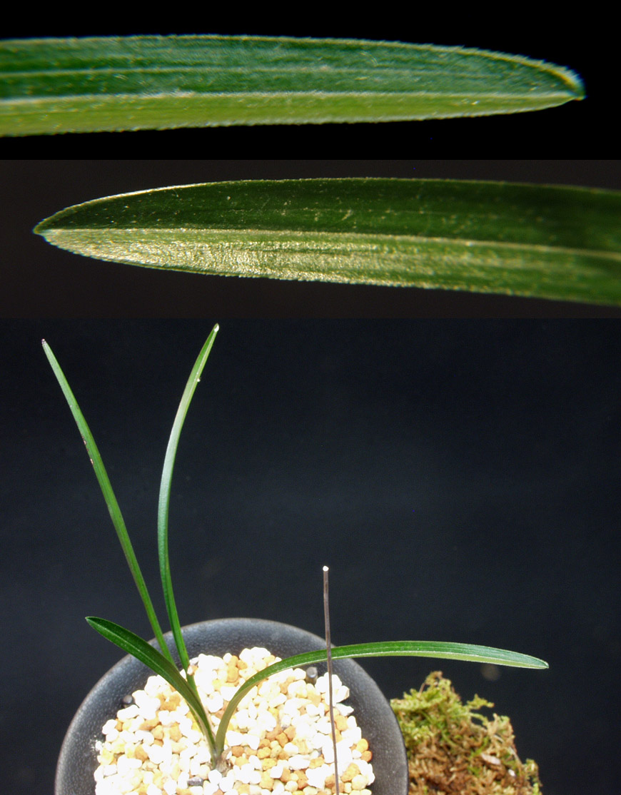 ������ ū������ �� �� �ֽ��ϴ�.