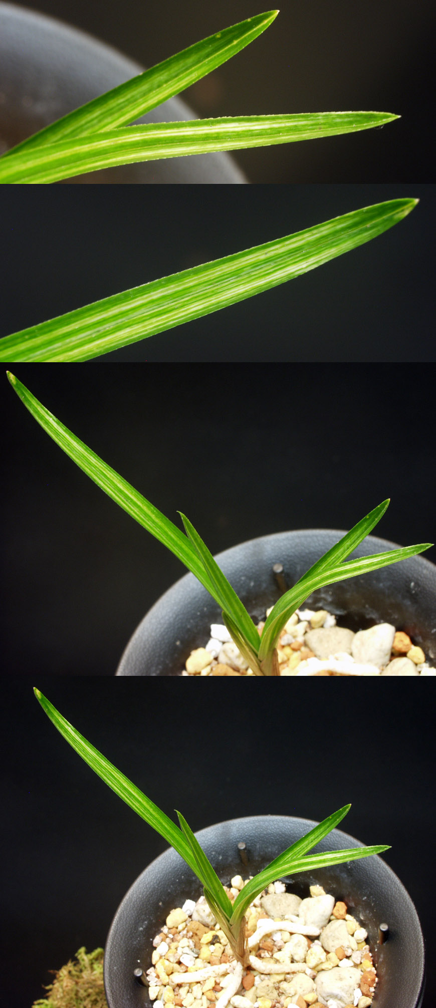 ������ ū������ �� �� �ֽ��ϴ�.