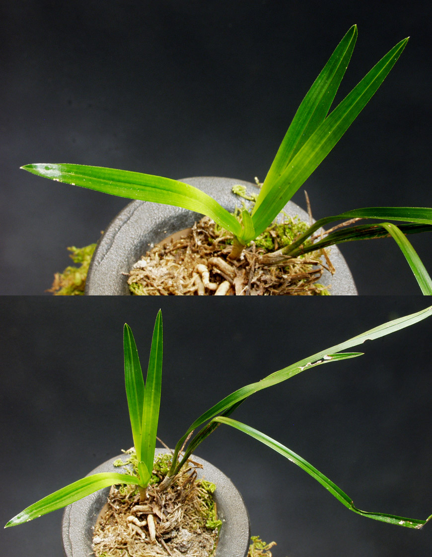 ������ ū������ �� �� �ֽ��ϴ�.