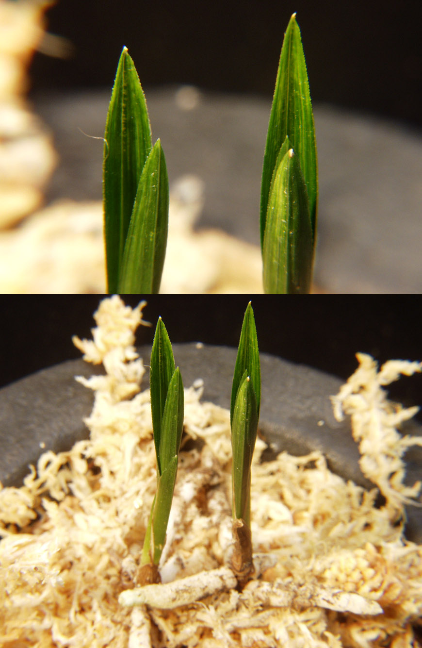 ������ ū������ �� �� �ֽ��ϴ�.