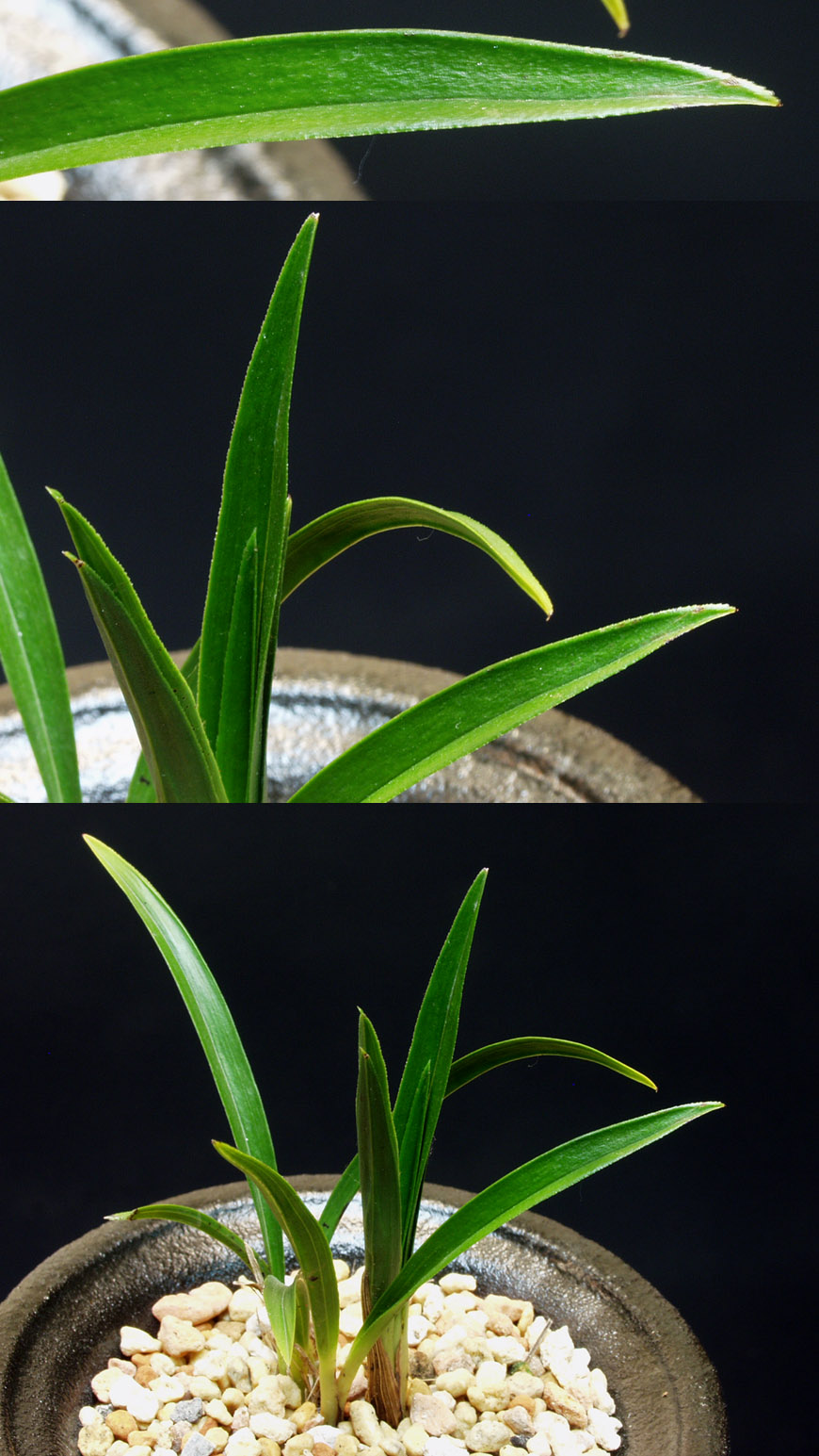 ������ ū������ �� �� �ֽ��ϴ�.