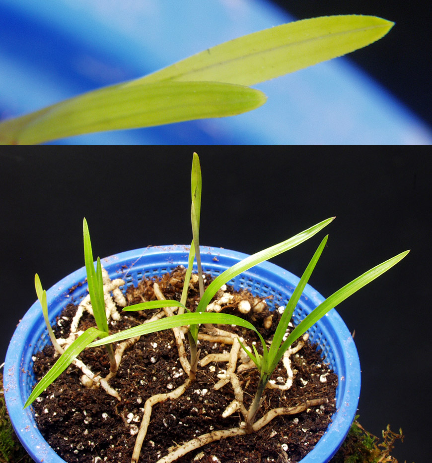 ������ ū������ �� �� �ֽ��ϴ�.