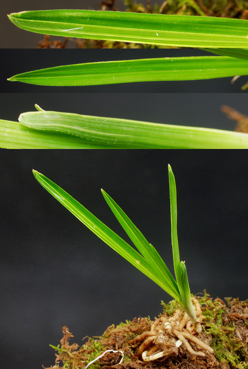 ������ ū������ �� �� �ֽ��ϴ�.