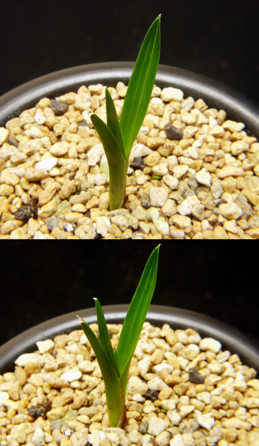 ������ ū������ �� �� �ֽ��ϴ�.