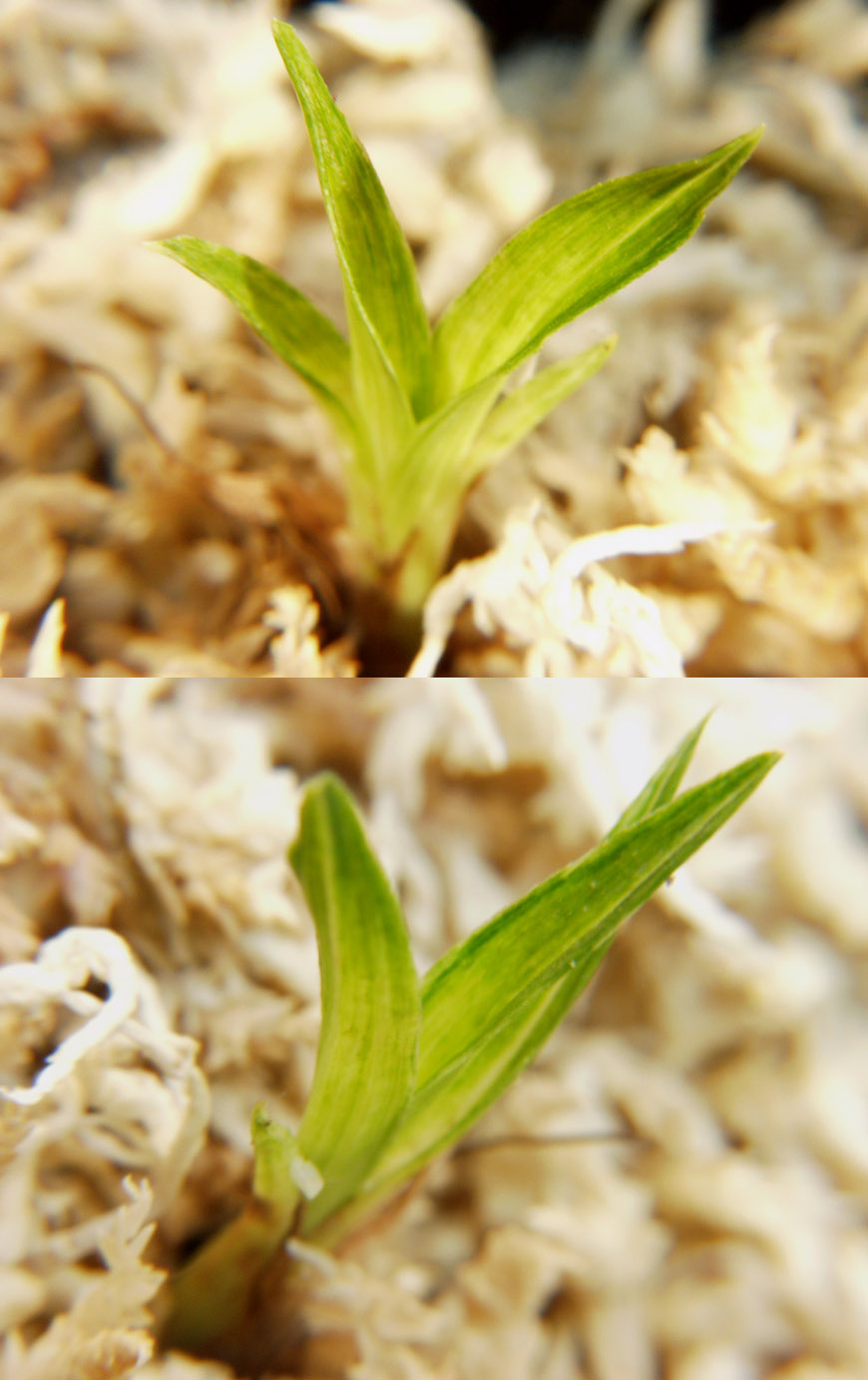 ������ ū������ �� �� �ֽ��ϴ�.