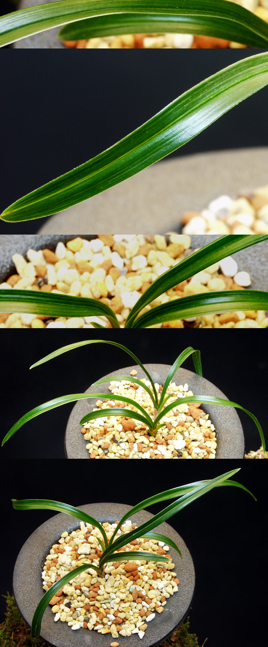 ������ ū������ �� �� �ֽ��ϴ�.