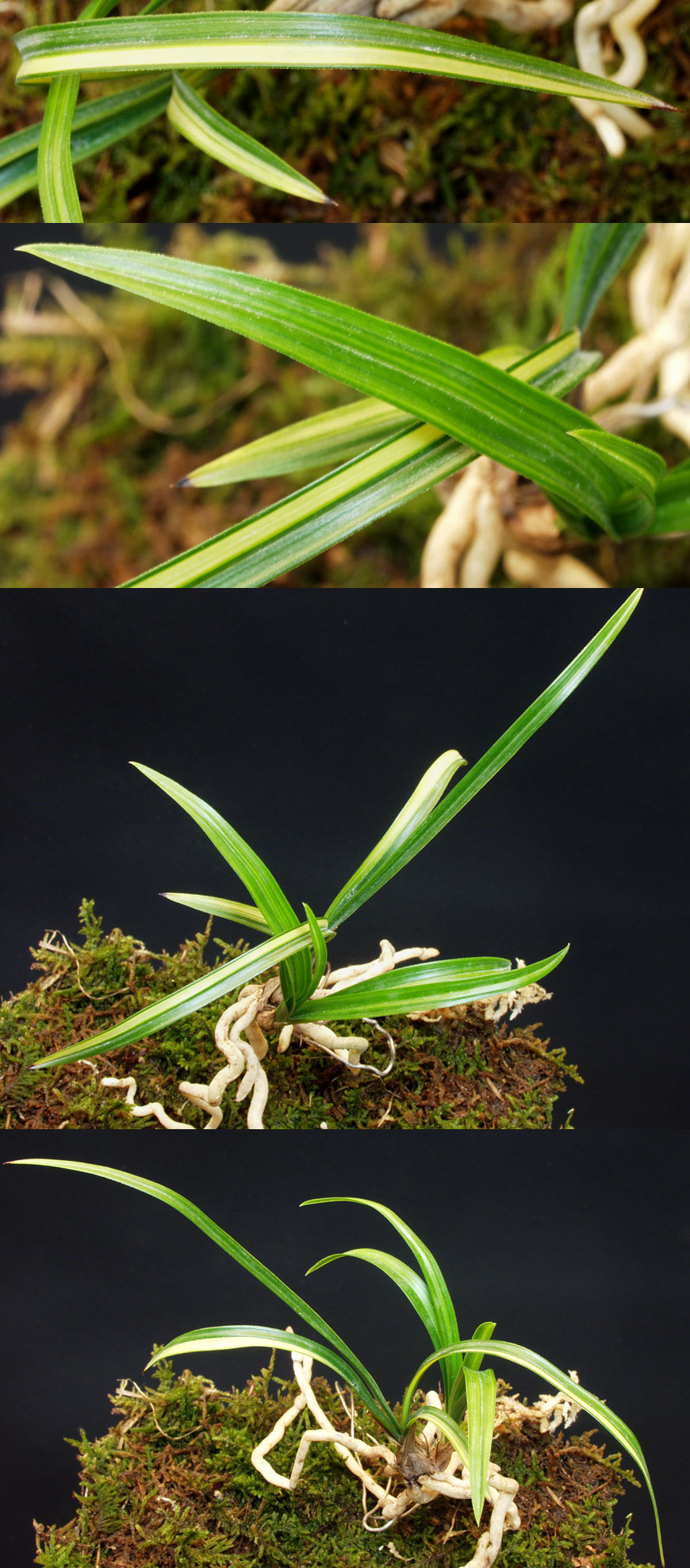 ������ ū������ �� �� �ֽ��ϴ�.