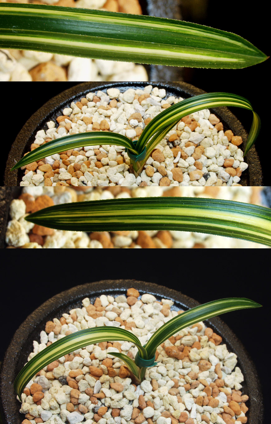 ������ ū������ �� �� �ֽ��ϴ�.