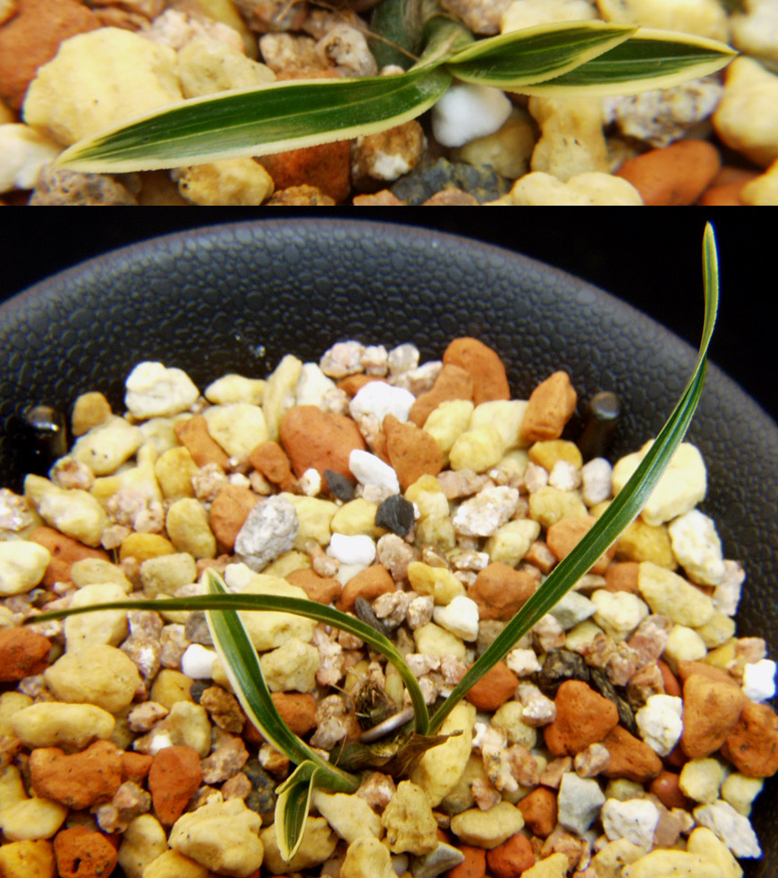 ������ ū������ �� �� �ֽ��ϴ�.